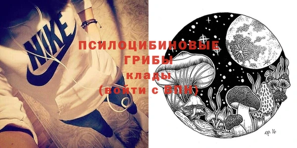 ГАЛЛЮЦИНОГЕННЫЕ ГРИБЫ Алексеевка