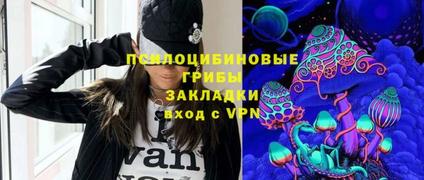 ГАЛЛЮЦИНОГЕННЫЕ ГРИБЫ Алексеевка