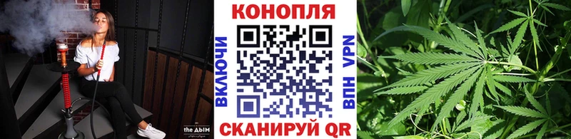 магазин продажи наркотиков  Стародуб  МАРИХУАНА Ganja 